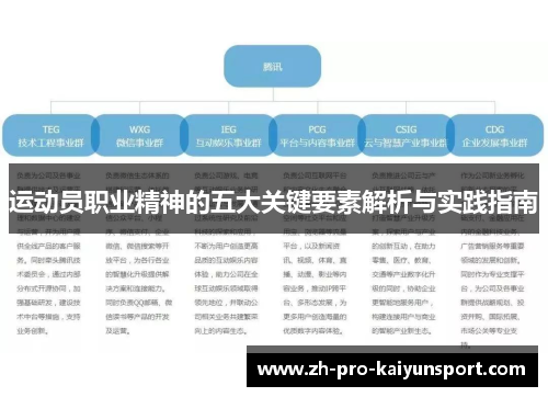 运动员职业精神的五大关键要素解析与实践指南