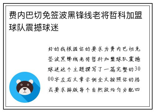费内巴切免签波黑锋线老将哲科加盟球队震撼球迷